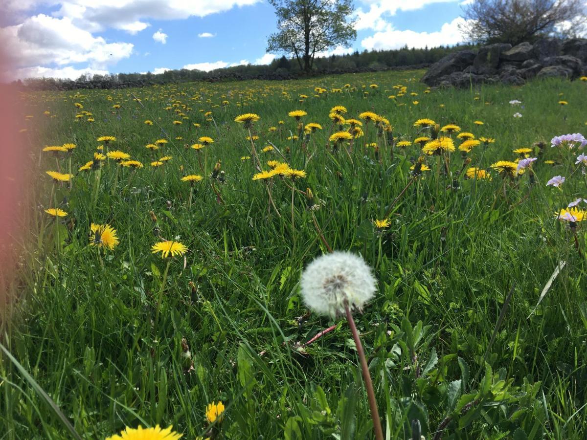 Rhoener Sternenhimmel Fewo 1 Und 2 Frankenheim/Rhon Bagian luar foto